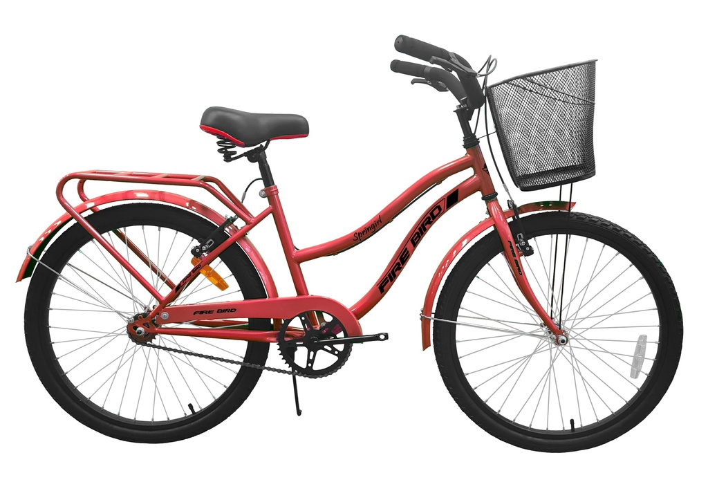 Bicicleta R24 Playera Niña Full - FIRE BIRD