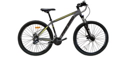 [50092] Bicicleta R29 Mtb Aluminio Horq. Susp. C/Bloqueo 21Vel. Ltwoo F.Disco-Doble Pared - FIRE BIRD - Hombre